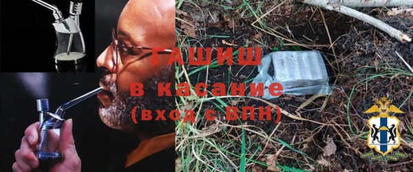 крисы Баксан