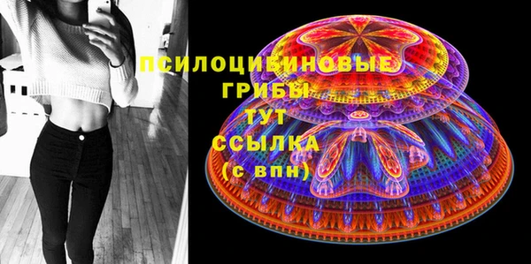 ПСИЛОЦИБИНОВЫЕ ГРИБЫ Балахна