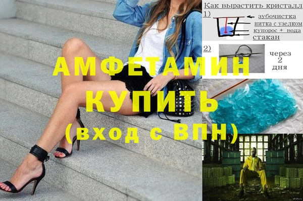 крисы Баксан