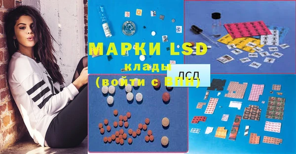 крисы Баксан