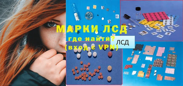 крисы Баксан