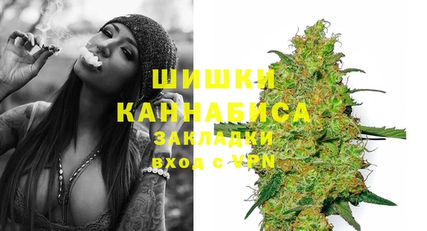 крисы Баксан
