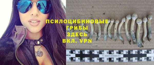 ПСИЛОЦИБИНОВЫЕ ГРИБЫ Балахна