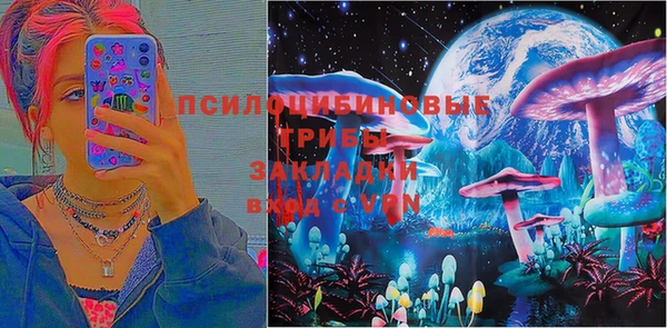 ПСИЛОЦИБИНОВЫЕ ГРИБЫ Балахна