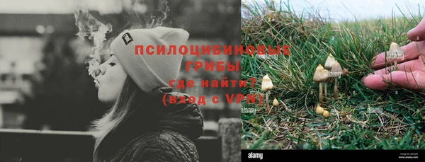 ПСИЛОЦИБИНОВЫЕ ГРИБЫ Балахна