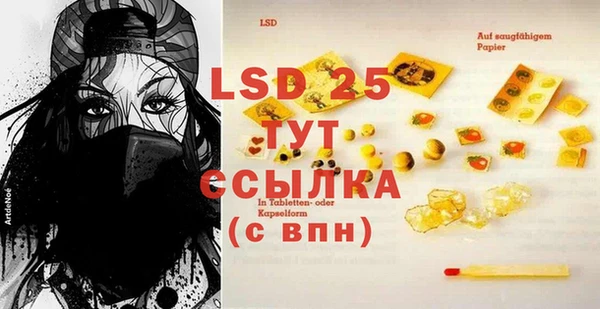 крисы Баксан